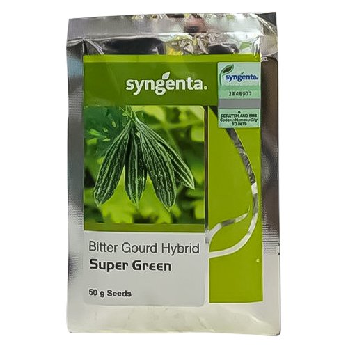 Bitter Gourd Hybrid Super Green 50GM Seeds Syngenta Pakistan | کریلے کے بیج