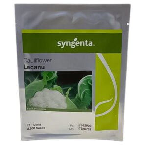 Lecanu 2500 Seeds F1 Hybrid Cauliflower – Treated with Fludioxonil | گوبی کے بیج