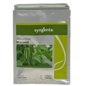 Maxwell Cucumber Hybrid F1 Seed (1000 Seeds Treated with Fludioxonil) – کھیرا