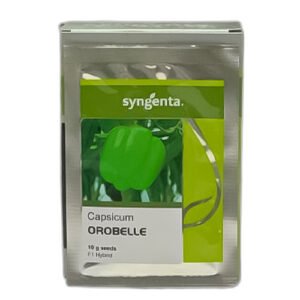 Orobelle Capsicum Hybrid F1 Seed 10gm (Approx. 1400 Seeds) Treated with Thiram and Carbendazim | شملہ مرچ کے بیج