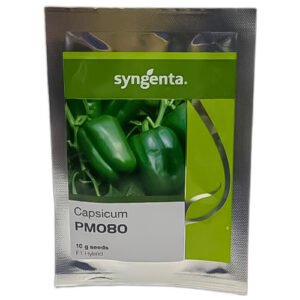 PM080 Capsicum Hybrid F1 Seed 10gm | Treated with Thiram & Carbendazim | شملہ مرچ کے بیج