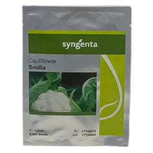 Smilla 2500 Seeds F1 Hybrid Cauliflower - Treated with Fludioxonil | گوبھی کا بیج سملہ - Syngenta Pakistan Limited