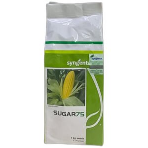 Sugar 75 Syngenta F1 Hybrid Sweet Corn Seed (1 KG) | شگر 75 مکئی کے بیج