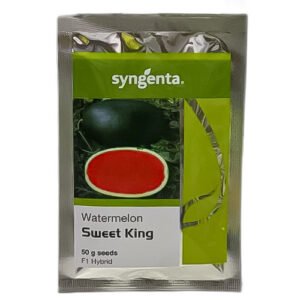 Sweet King 50GM Seeds - F1 Hybrid Watermelon (Syngenta Seeds) تربوز کے بیج - Origin: Thailand