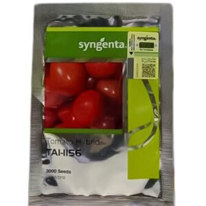 Tomato Hybrid TAI 1156 F1 (3000 Seeds) - Syngenta Seeds | ٹماٹر ہائبرڈ TAI 1156 بیج