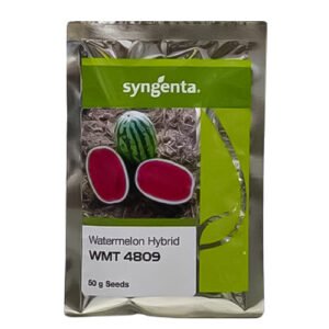 WMT 4809 50GM Seeds - F1 Hybrid Watermelon (Syngenta) | ٹوری تربوز کے بیج